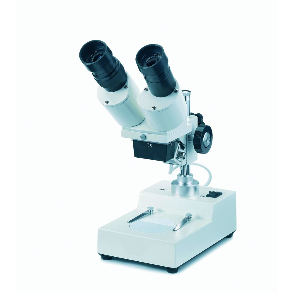 Stéréomicroscope à tube oculaire incliné et éclairage tungstène