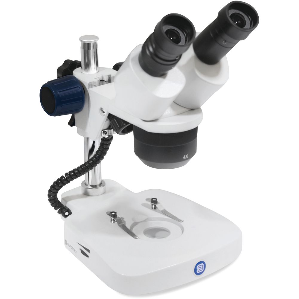 Stéréomicroscope binoculaire pour l'enseignement