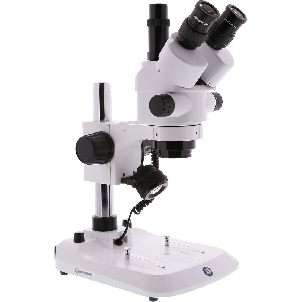 Stéréomicroscope trinoculaire avec un statif à colonne et une platine à valets
