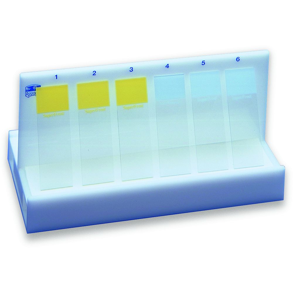 Support plexi pour séchage des lames