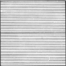Cellules à numération Nageotte