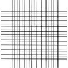 Cellules à numération Thoma