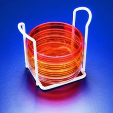 Support blanc pour 6 boîtes de pétri Ø 90 mm