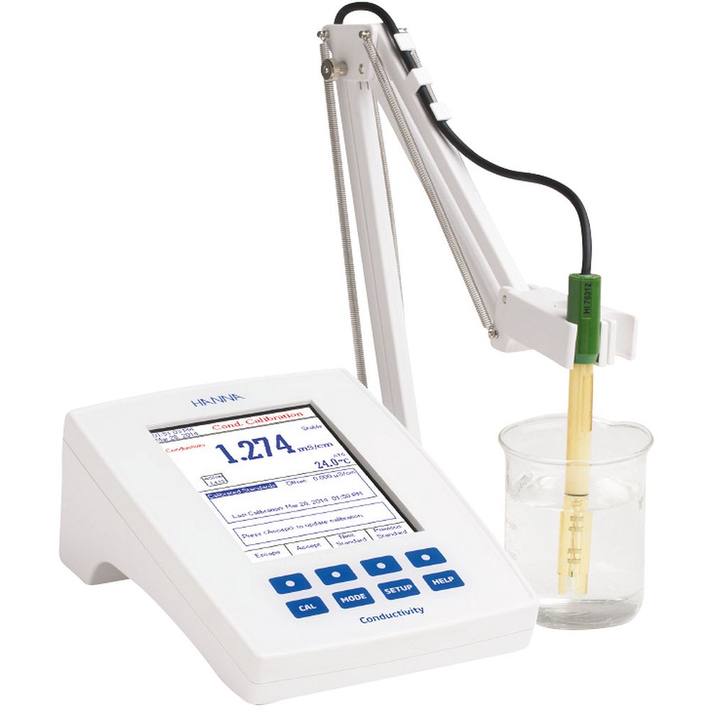 Thermomètre digital à sonde amovible - Petits matériels divers :  thermomètres - Microbiologie : analyses et mesures - Matériel de laboratoire