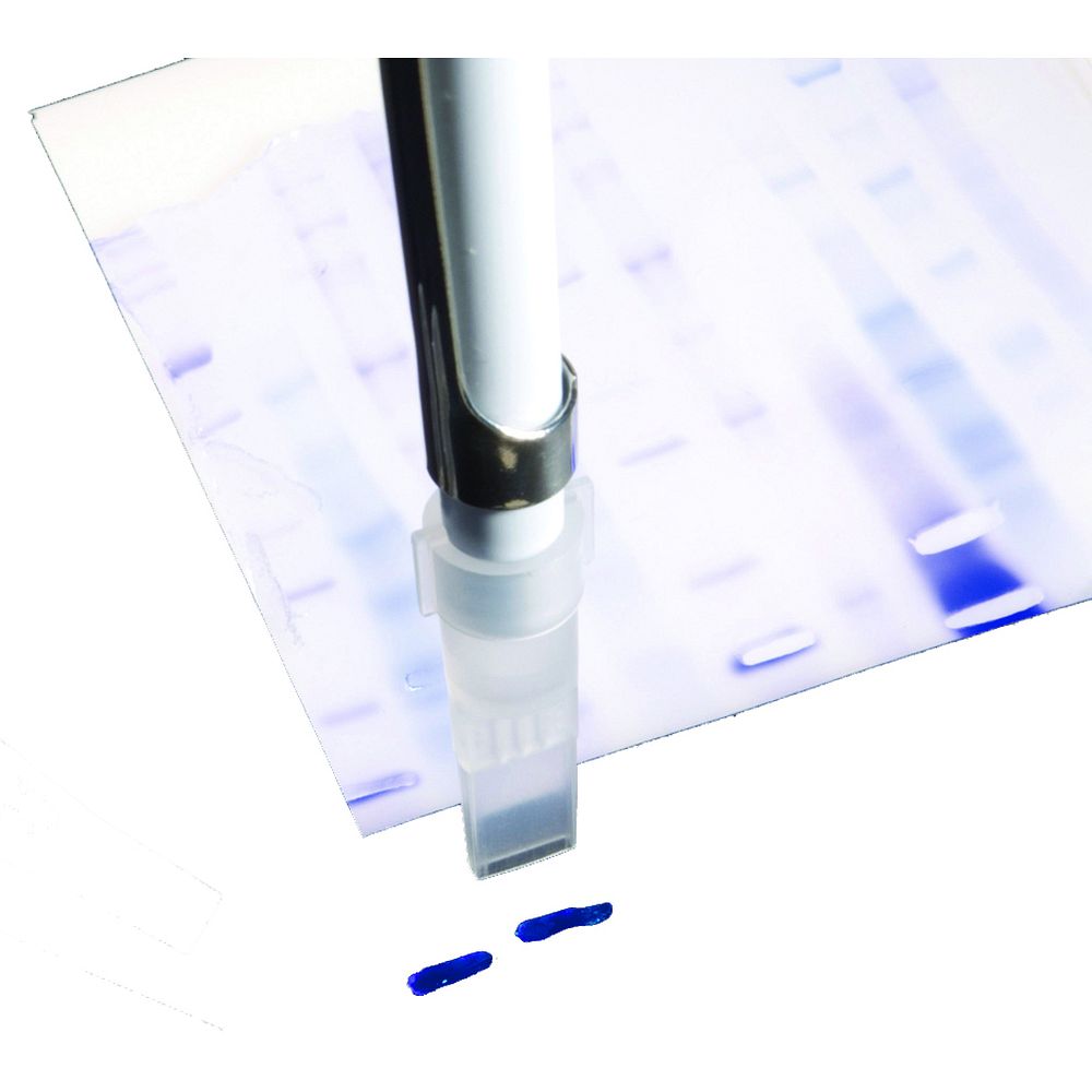 Pointes pour micropipettes sur gel d'électrophorèse