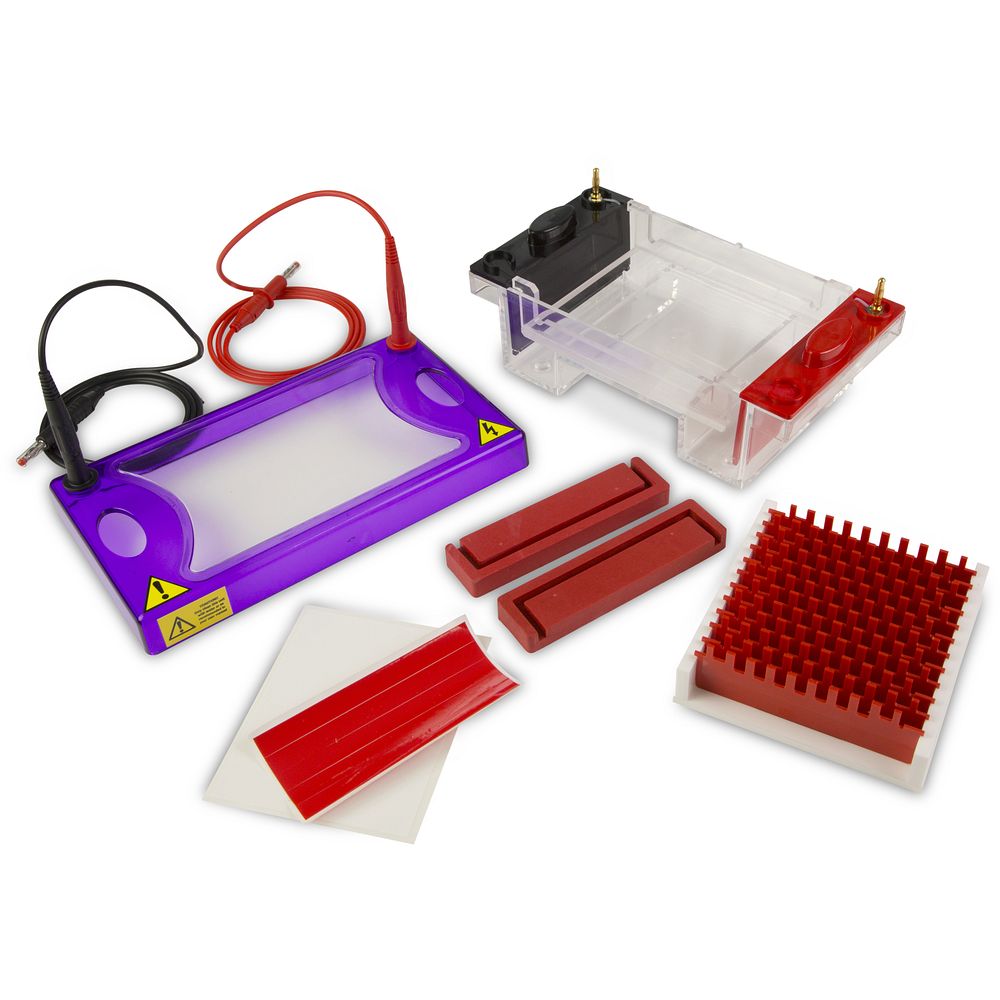 Cuves électrophorèse horizontales pour microplaques gels 10&nbspcm, jusqu'à 96&nbsppuits
