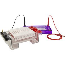 Cuves électrophorèse horizontales pour microplaques gels 10 cm, jusqu'à 96 puits