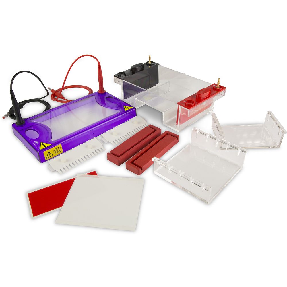 Cuves électrophorèse horizontales Midi gels 10&nbspcm, jusqu'à 100&nbsppuits