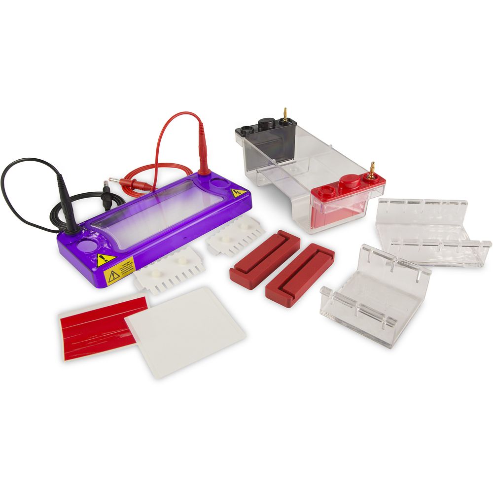 Cuves électrophorèse horizontales Mini gels 7&nbspcm, jusqu'à 64&nbsppuits