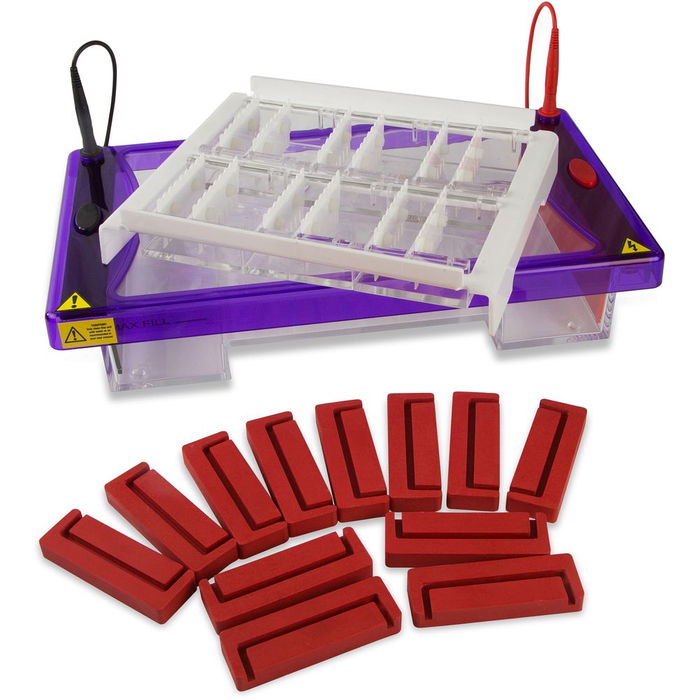 Cuves électrophorèse horizontales multigels pour enseignement gels 7&nbspcm, jusqu'à 192&nbsppuits