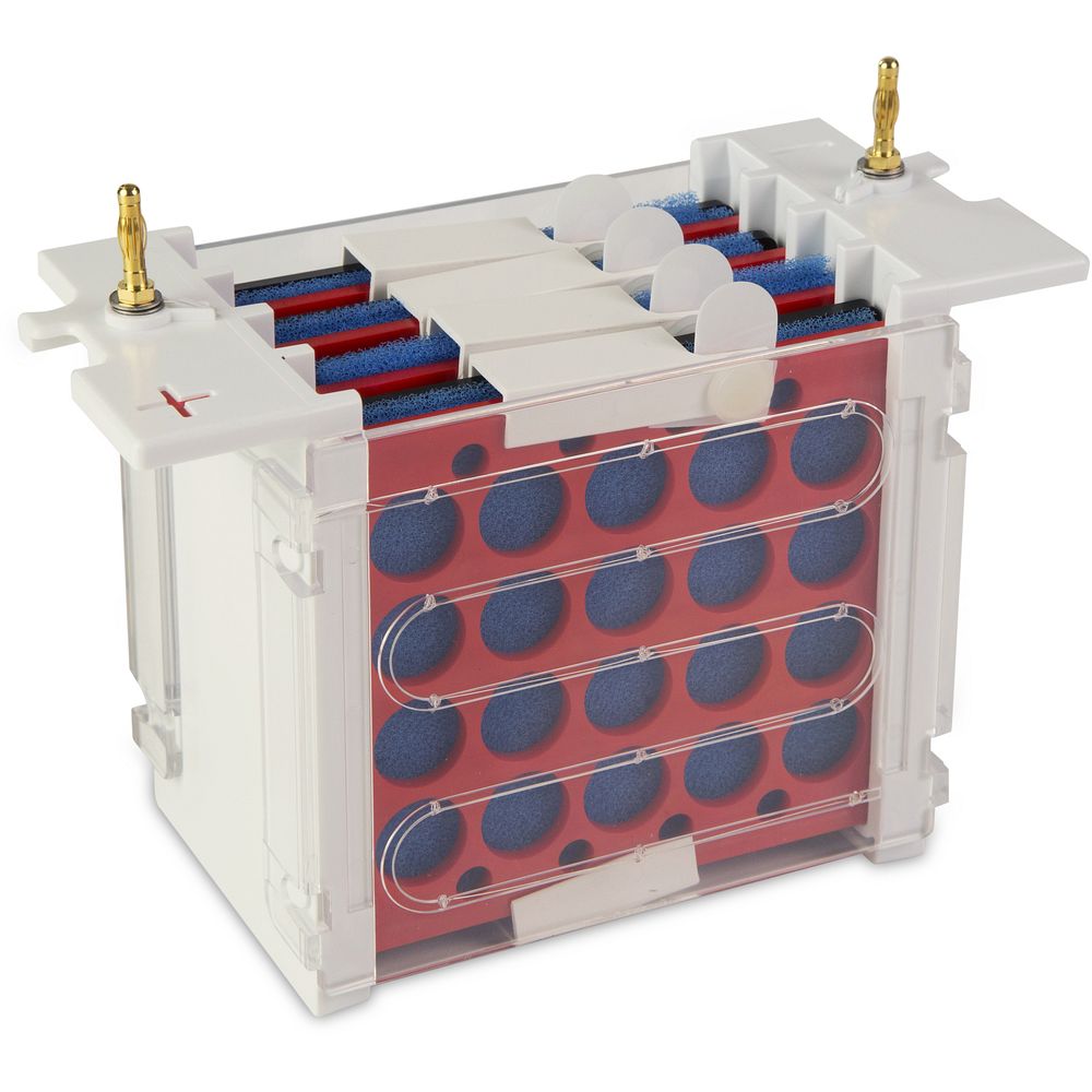 Cuves électrophorèse verticales modulaires gels 8&nbspx 8,5&nbspcm, jusqu'à 80 échantillons