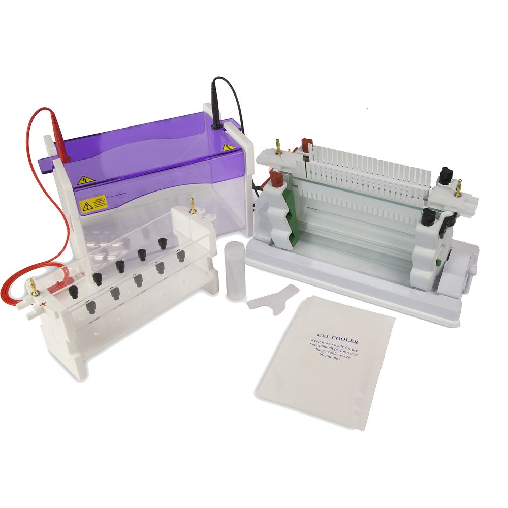 Cuves électrophorèse verticales large modulaires gels 18&nbspx 8&nbspcm, jusqu'à 192 échantillons