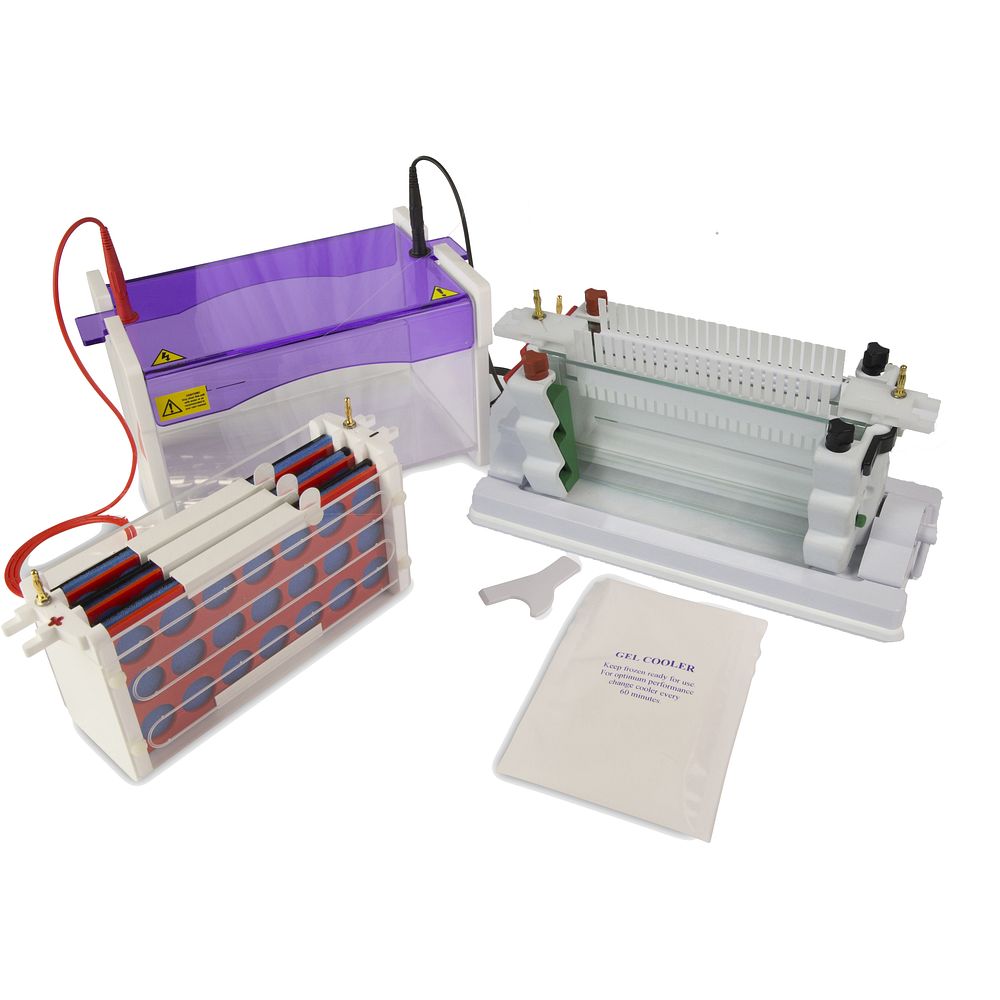 Cuves électrophorèse verticales large modulaires gels 18&nbspx 8&nbspcm, jusqu'à 192 échantillons