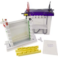 Cuves électrophorèse verticales modulaires gels 20 X 20 cm, jusqu'à 192 puits