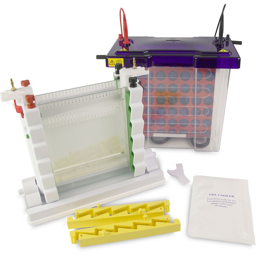Cuves électrophorèse verticales modulaires gels 20&nbspX 20&nbspcm, jusqu'à 192&nbsppuits