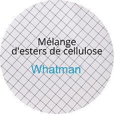 Membranes Whatman® en mélange d'esters de cellulose, blanches quadrillées noir