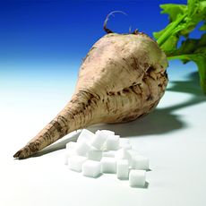 Papiers-filtres pour sucreries - sucre de betterave