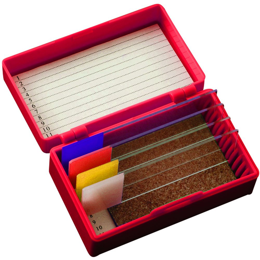 Boîtes en plastique ABS couleur couvercle à charnière