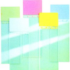 Lames colorées MENZEL Superfrost®