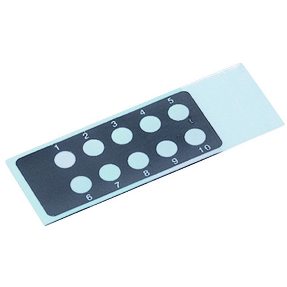 Lames LMR® pour immunofluorescence revêtement Téflon®