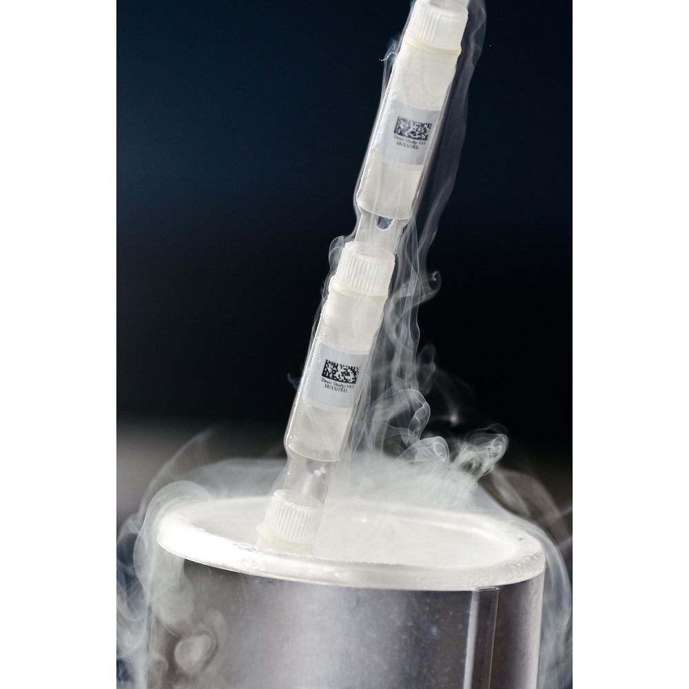 Imprimante compacte pour identification en laboratoire