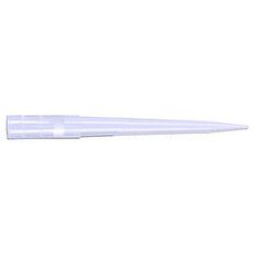 Pointes à filtre 1000 µl
