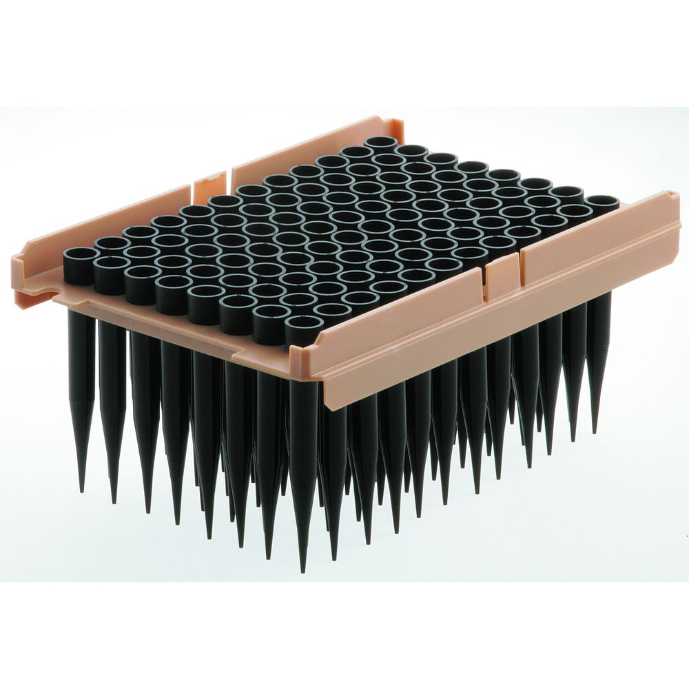 Pointes Type Stratec 300 µl