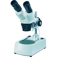 Stéréomicroscopes économiques 2 objectifs, à colonne
