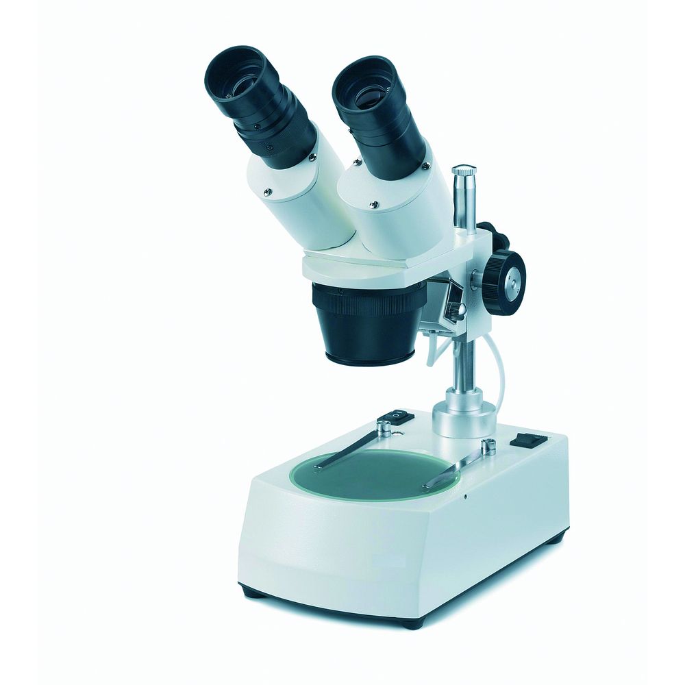 Stéréomicroscopes économiques 2&nbspobjectifs, à colonne