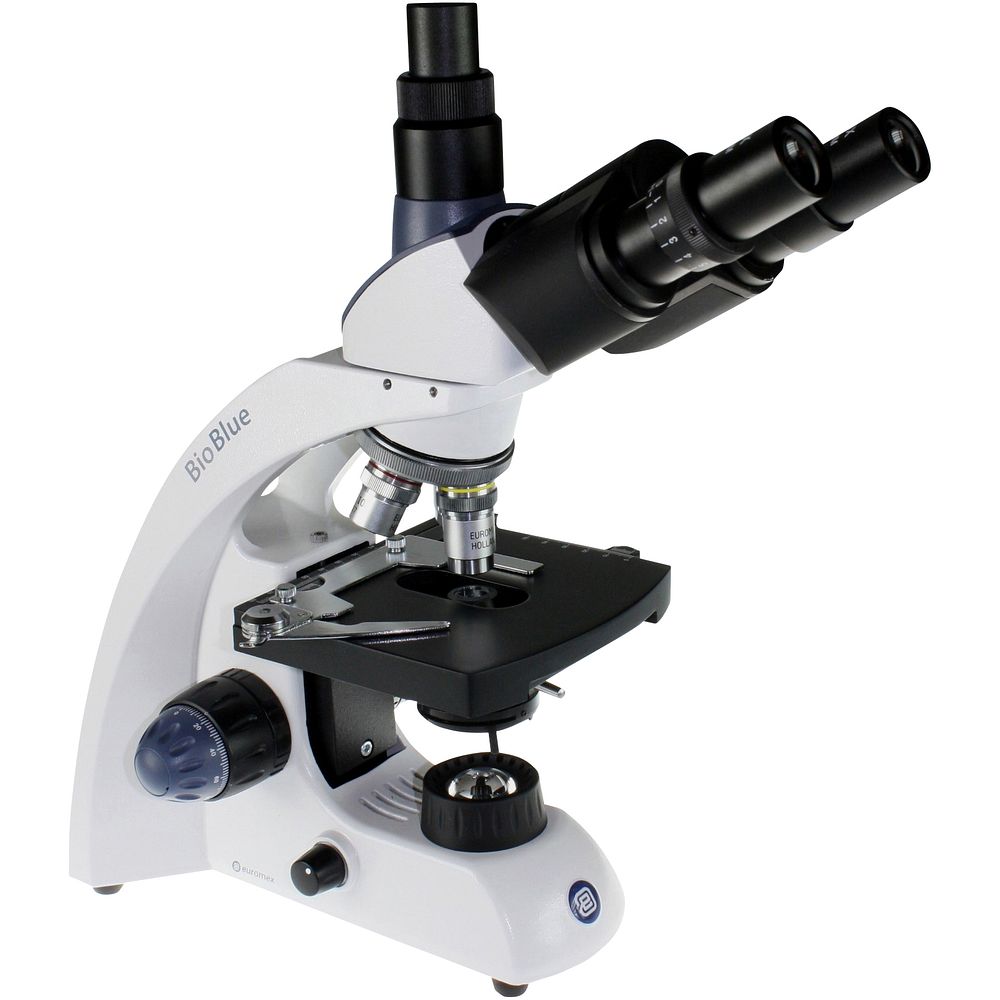 Tête inclinée à 45 degrès sur un microscope trinoculaire de laboratoire