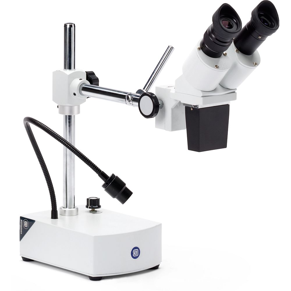 Microscopes de laboratoire 1000x pour le contraste de phase