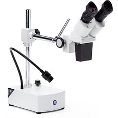 Stéréomicroscopes économiques 1 objectif, éclairage flexible