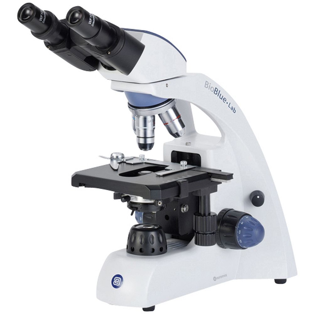 Microscope binoculaire BioBlue, EUROMEX® - Materiel pour Laboratoire