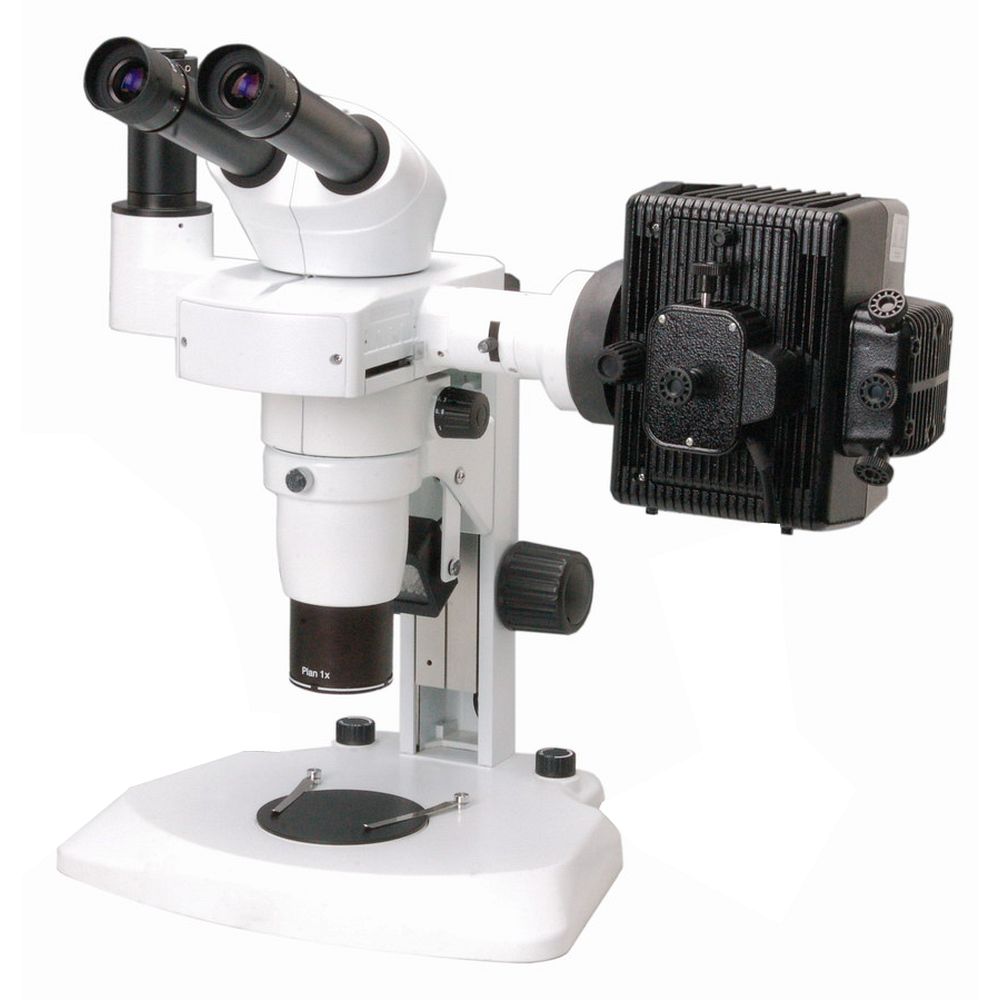 Module pour la fluorescence et la vidéo sur un stéréomicroscope modulaire