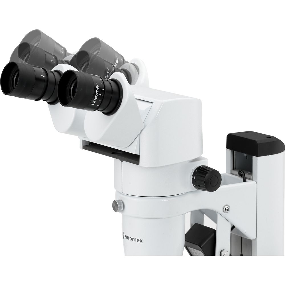 Stéréomicroscope modulaire avec un objectif pour la vidéo
