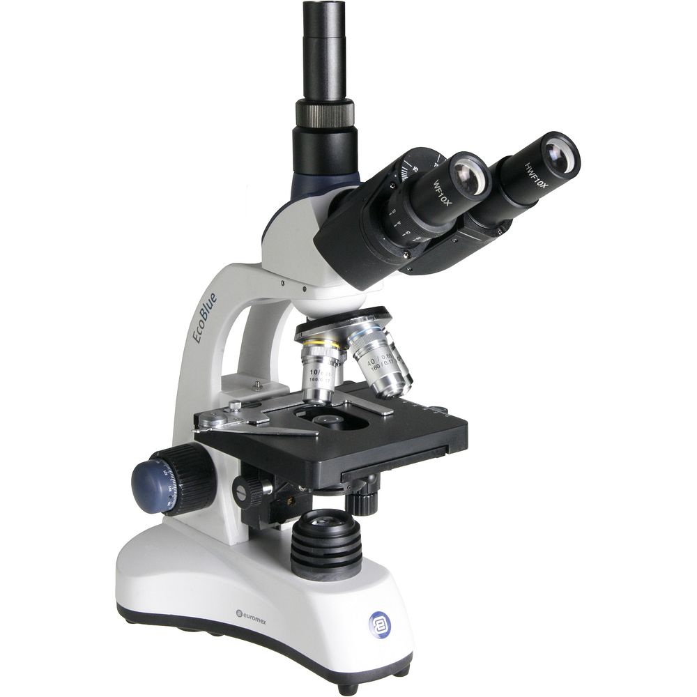 Microscopes fond clair transformateur intégré