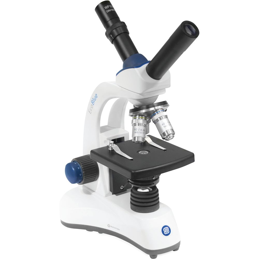 Microscope avec une tête à discussion