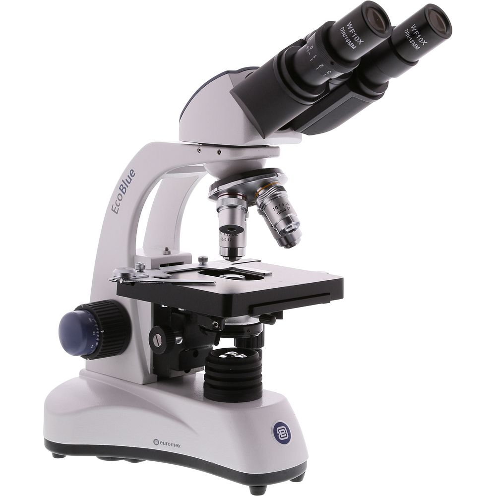 Microscopes fond clair transformateur intégré