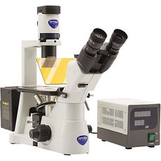 Microscopes inversés à épifluorescence