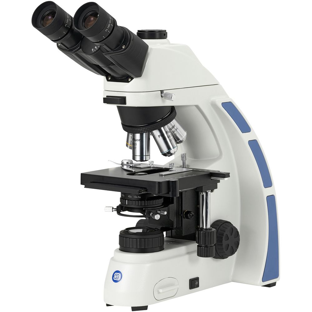 Microscopes droits pour le contraste de phase 1000x