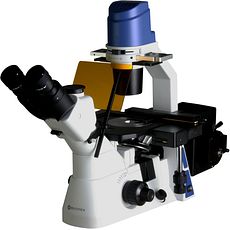 Microscopes inversés à fluorescence objectifs plan IOS