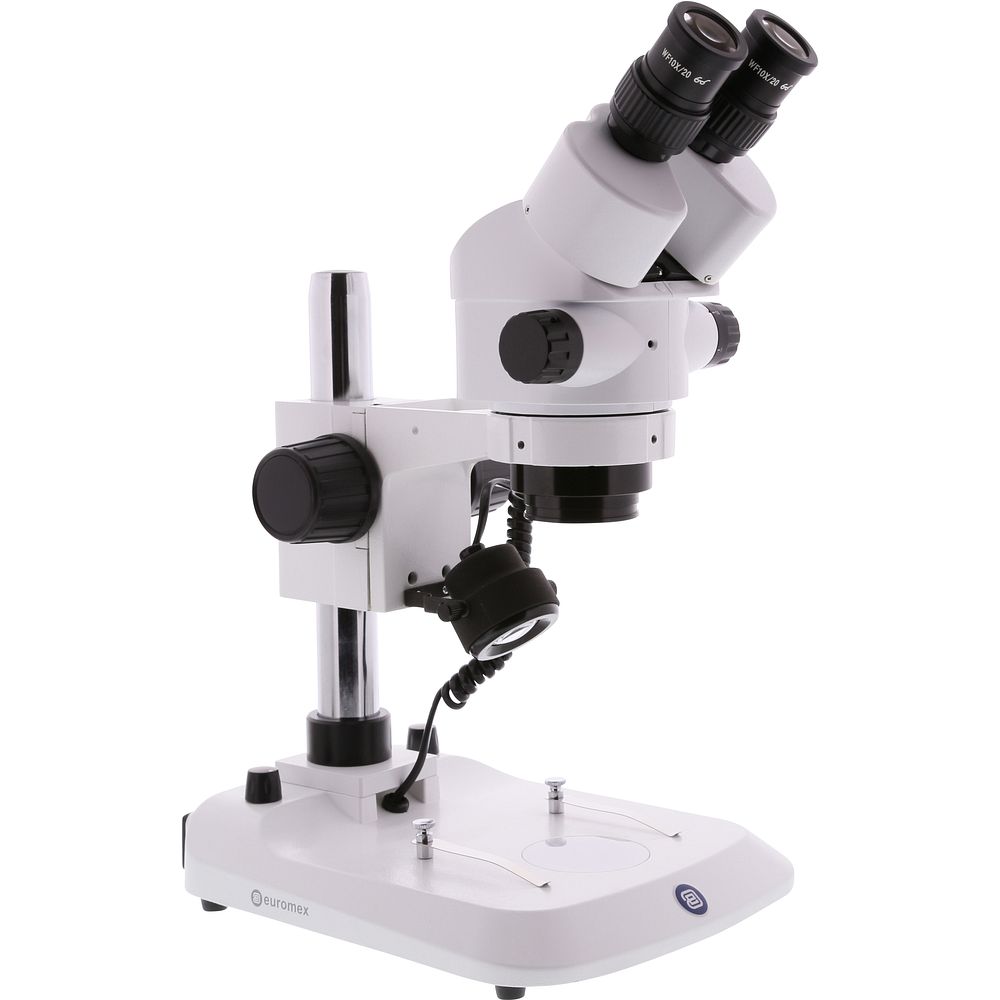 Stéréomicroscope trinoculaire avec un statif à crémaillière