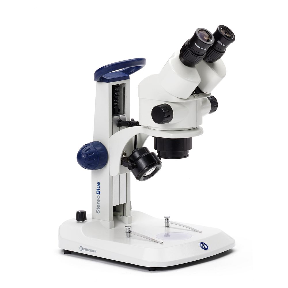 Stéréomicroscopes LED zoom continu laboratoire et enseignement
