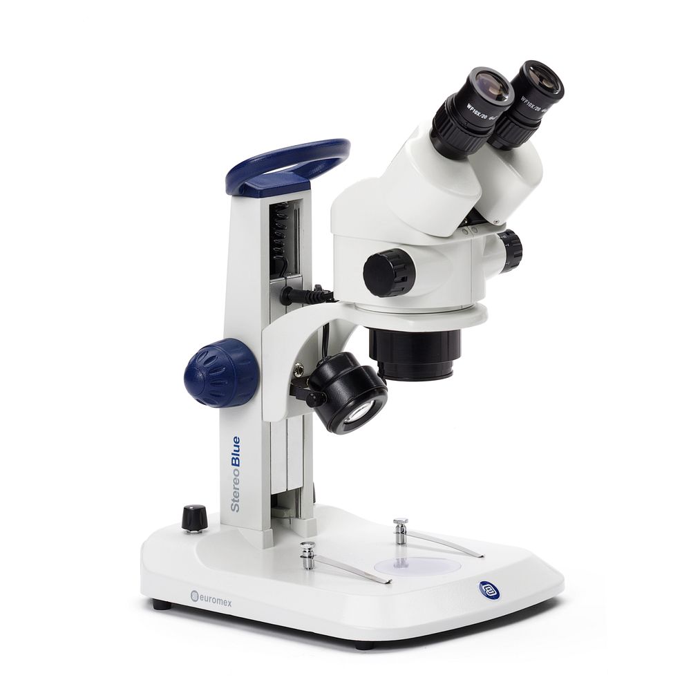 Statif à colonne et éclairage LED sur un stéréomicroscope