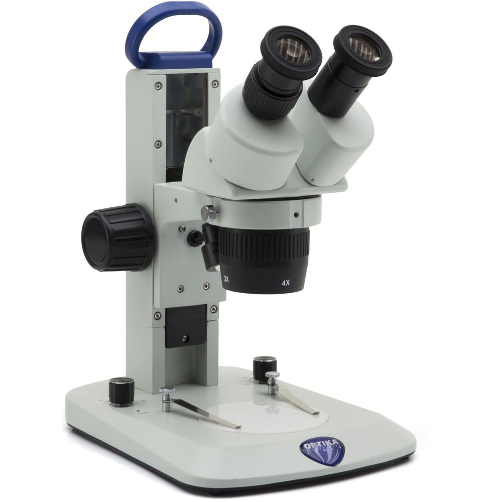 Stéréomicroscopes EcoLED™ 45x ou zoom jusqu'à 180x