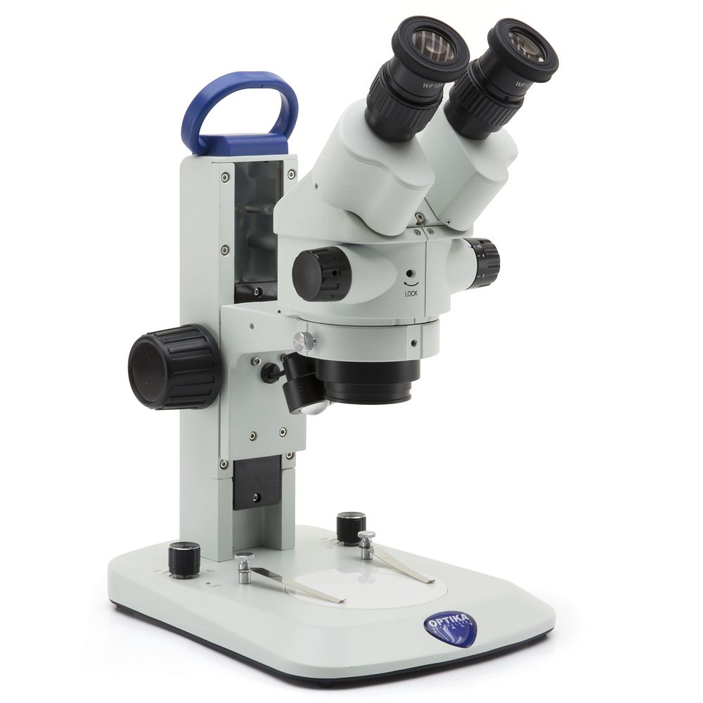 Stéréomicroscopes EcoLED™ 45x ou zoom jusqu'à 180x