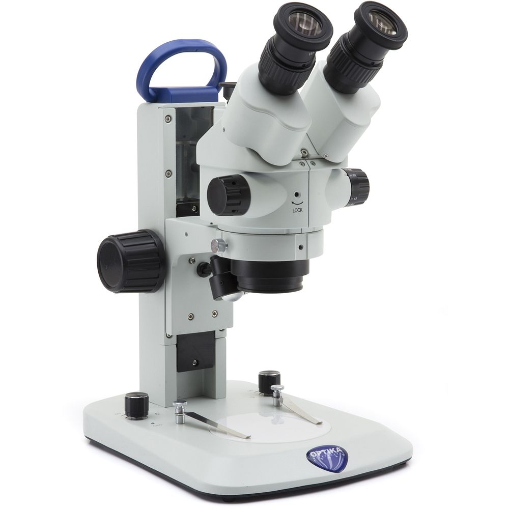 Stéréomicroscopes EcoLED™ 45x ou zoom jusqu'à 180x
