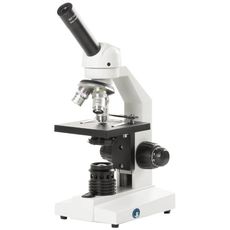 Microscopes pour l'enseignement 400x fond clair