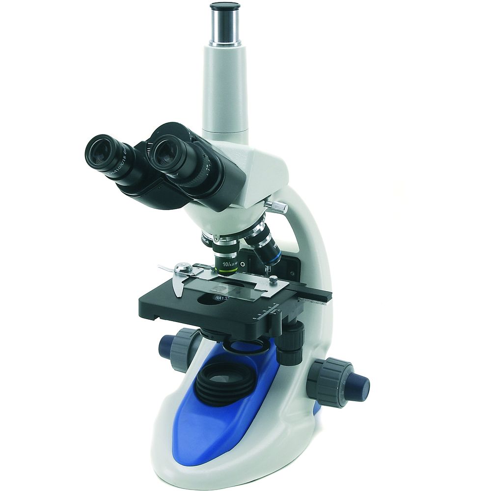 Microscopes fond clair