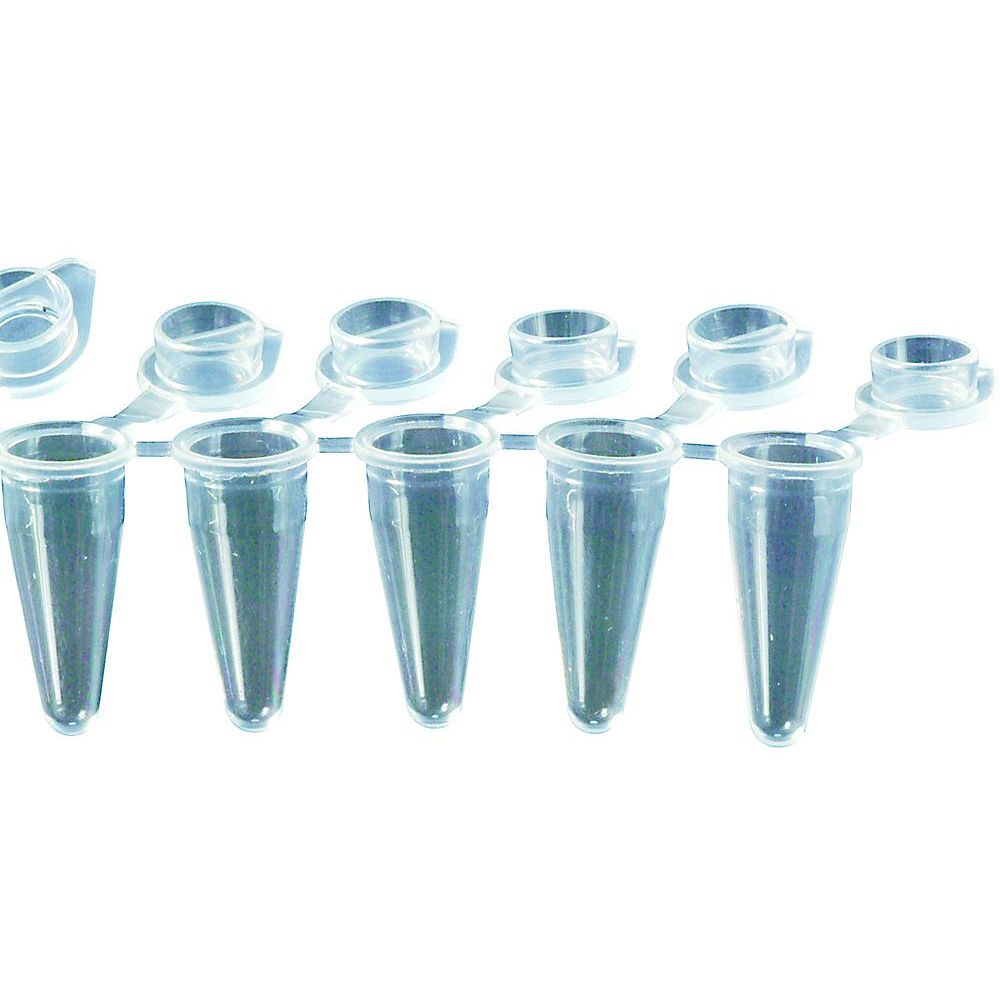 Microtubes PCR 0,2&nbspml en barrette avec capuchons solidaires